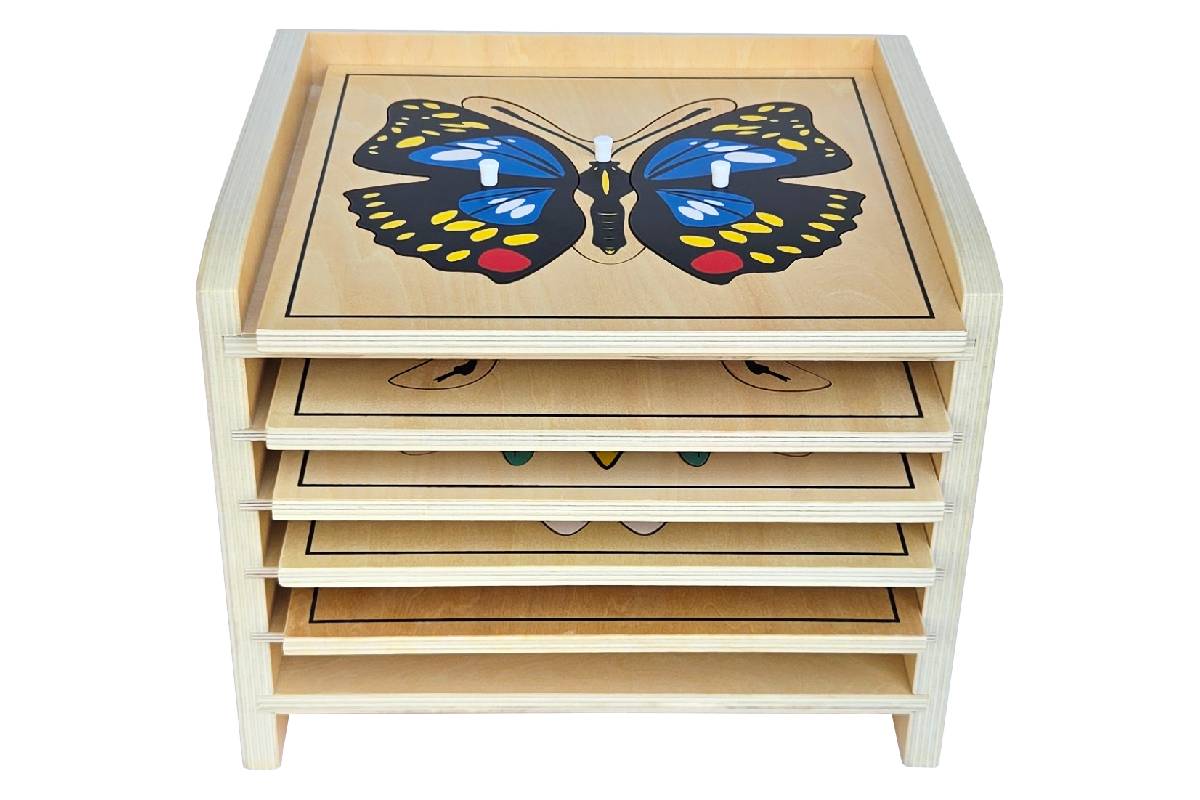 5 Insect Puzzles with Cabinet