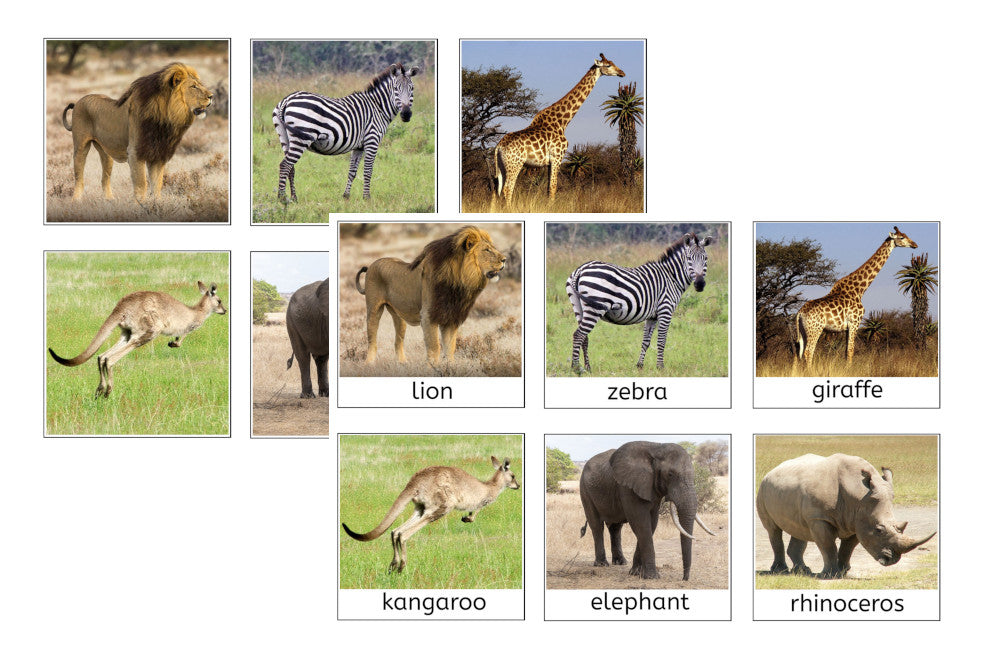 Animal Habitat Sorting Cards (PDF)