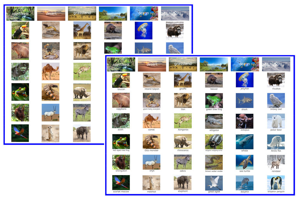 Animal Habitat Sorting Cards (PDF)