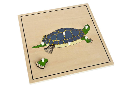 Wooden puzzle with pieces representing the parts of a turtle. The rear foot is removed to reveal the skeleton beneath.