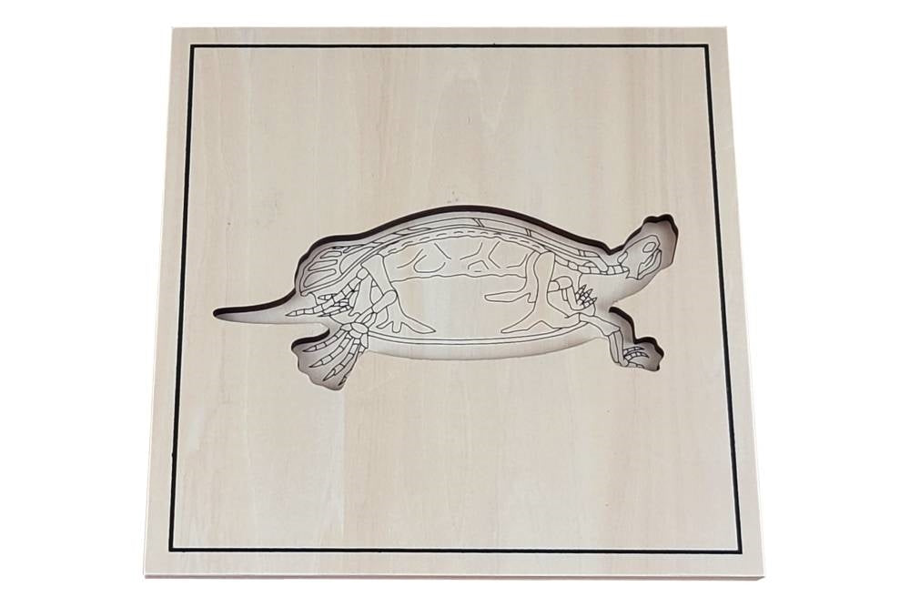 Puzzle base depicting turtle skeleton.