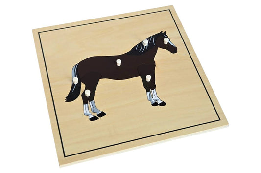 Horse Puzzle with Skeleton