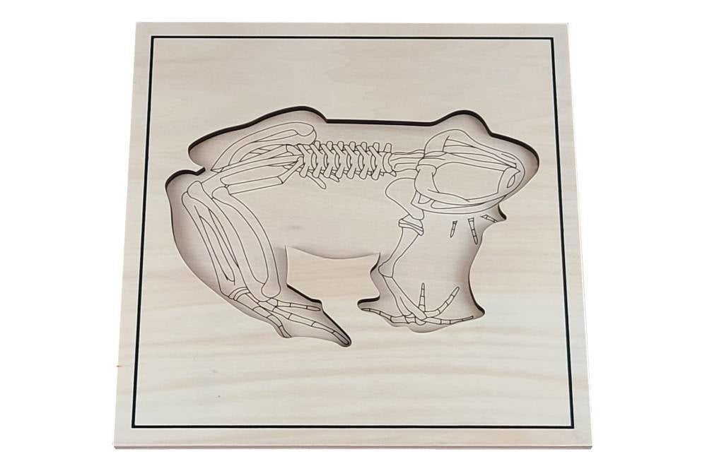 Puzzle base depicting frog skeleton.