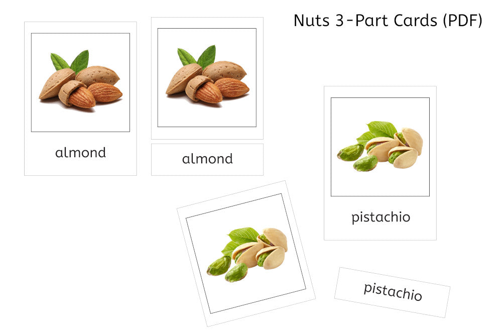 Nuts 3-Part Cards (PDF)