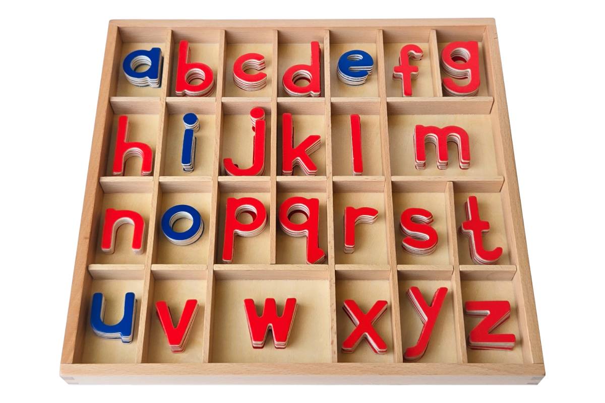 Movable Alphabet with Box - Print (Thin)