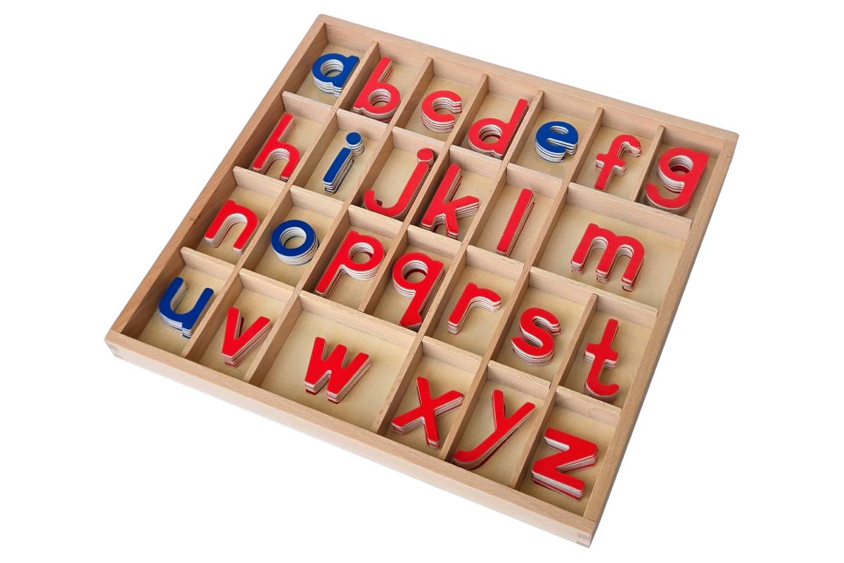 Movable Alphabet with Box - Print (Thin)
