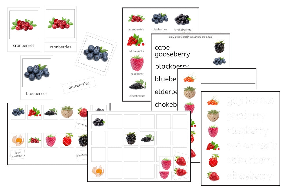 Vocabulary PDF