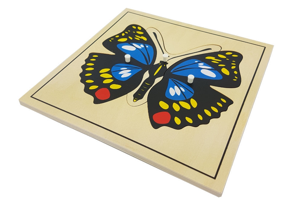 Insect Puzzle