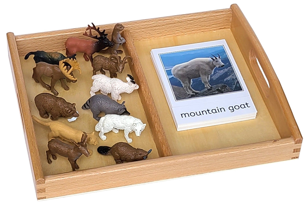 Two-Compartment Tray Set (Paper Cards)