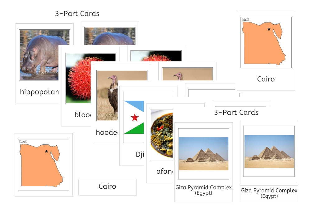 Africa PDF