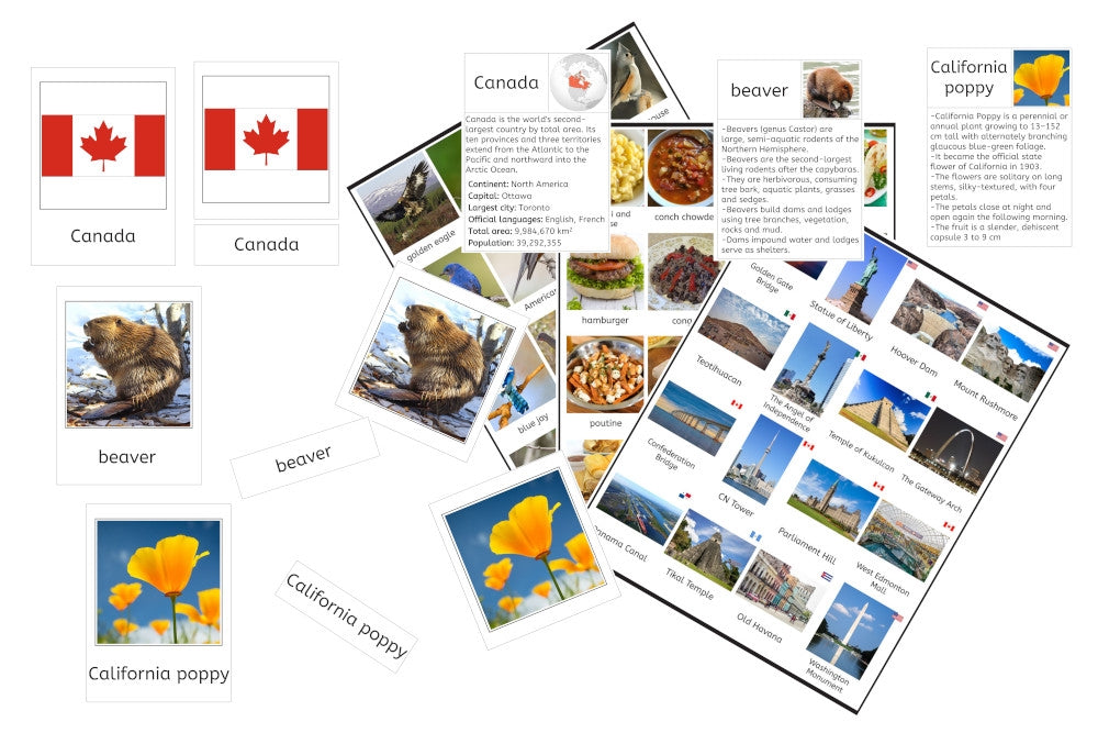 North America PDF