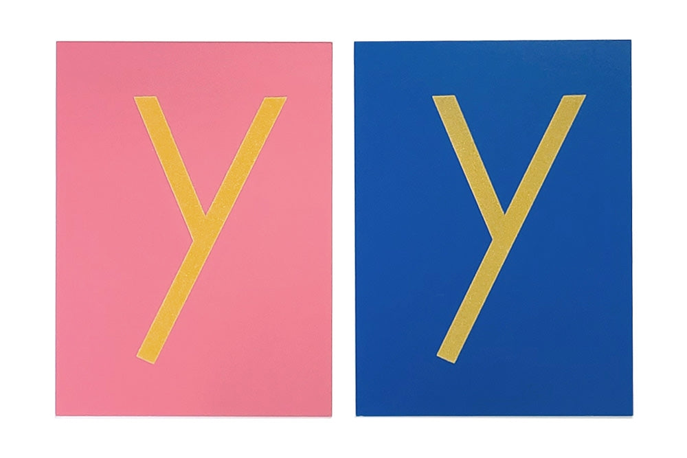 One 'y' sandpaper letter in pink and one in blue