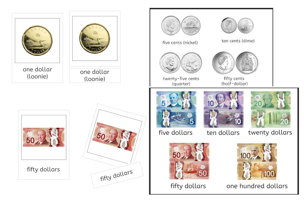 Language 3-Part Cards (PDF)