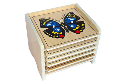 5 Insect Puzzles with Cabinet