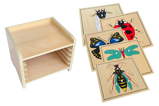 5 Insect Puzzles with Cabinet