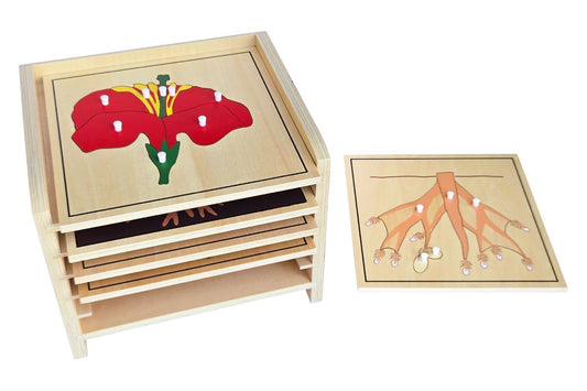 5 Plant Puzzles with Cabinet