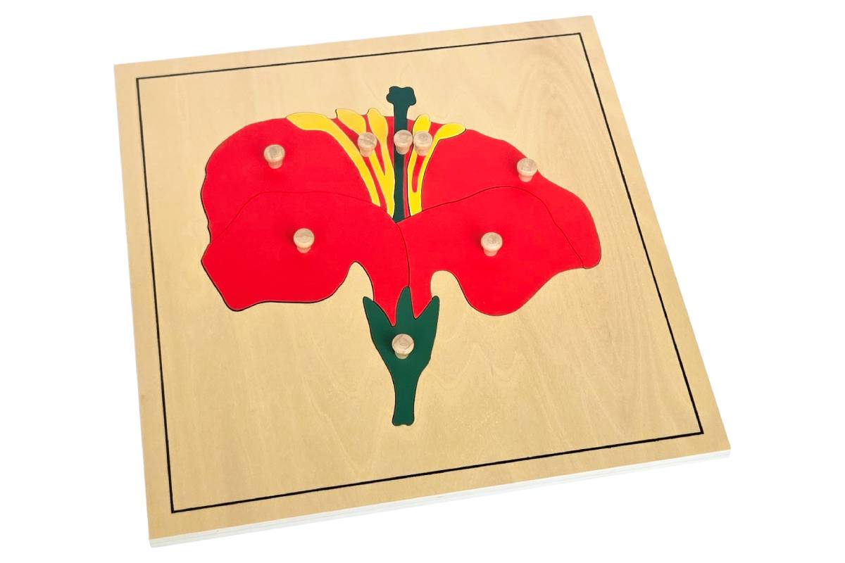 3 Botany Puzzles with Cabinet - IFIT Montessori