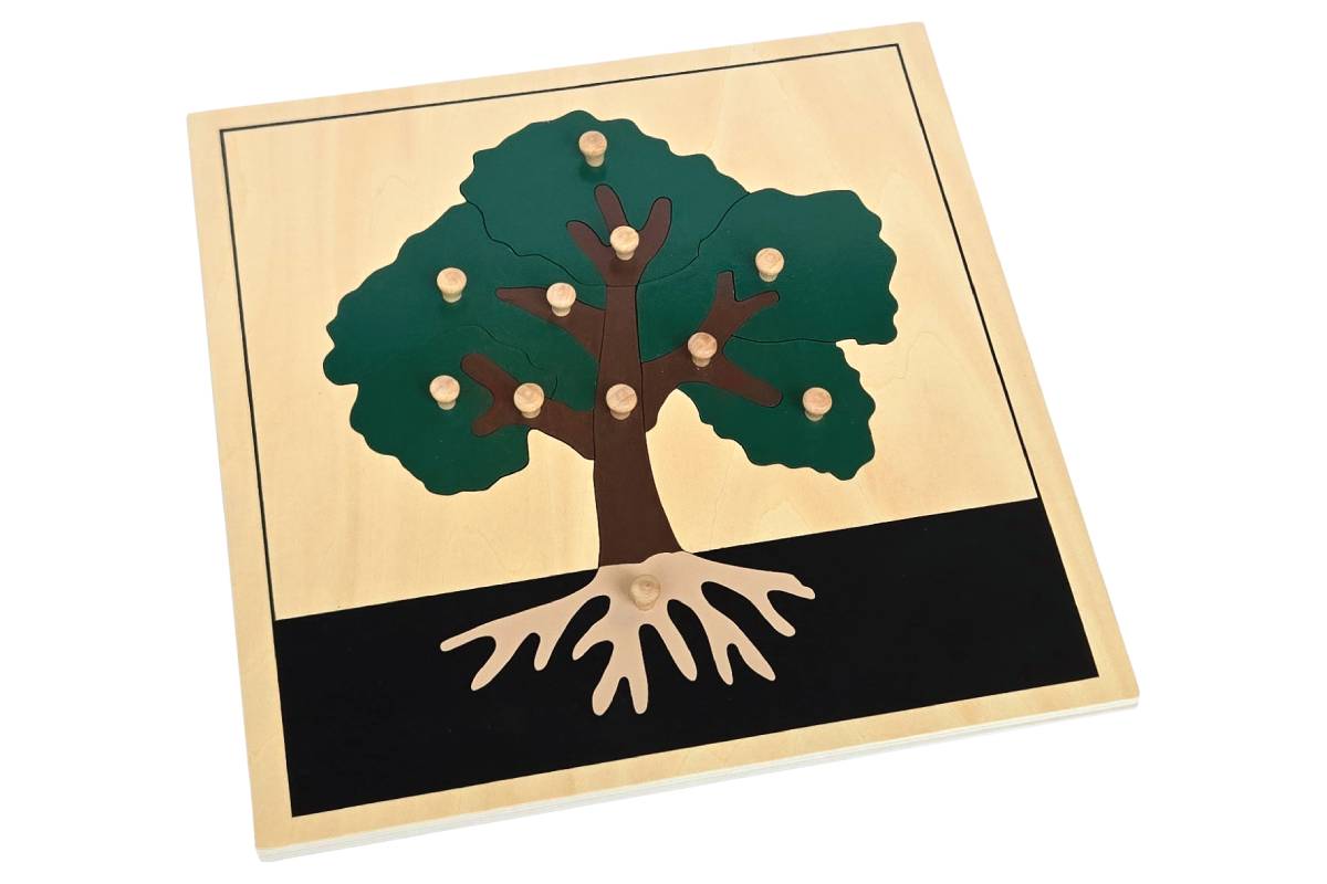 3 Botany Puzzles with Cabinet - IFIT Montessori