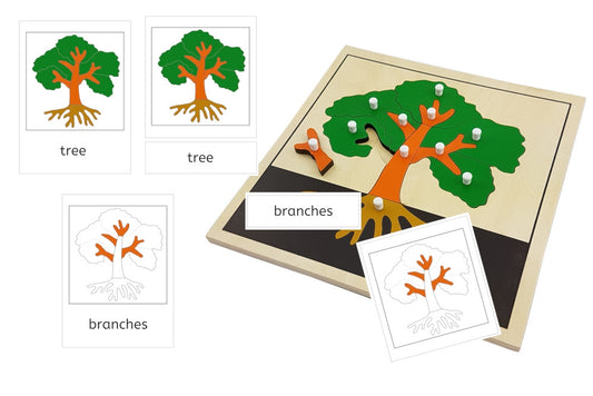 Parts of a Tree 3-Part Cards (PDF)