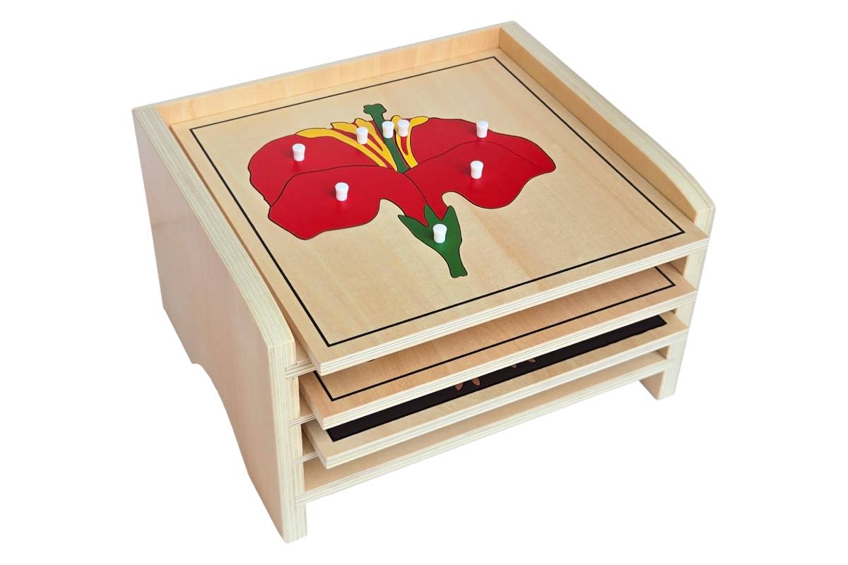 3 Botany Puzzles with Cabinet