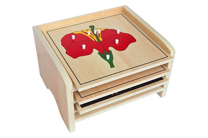 3 Botany Puzzles with Cabinet