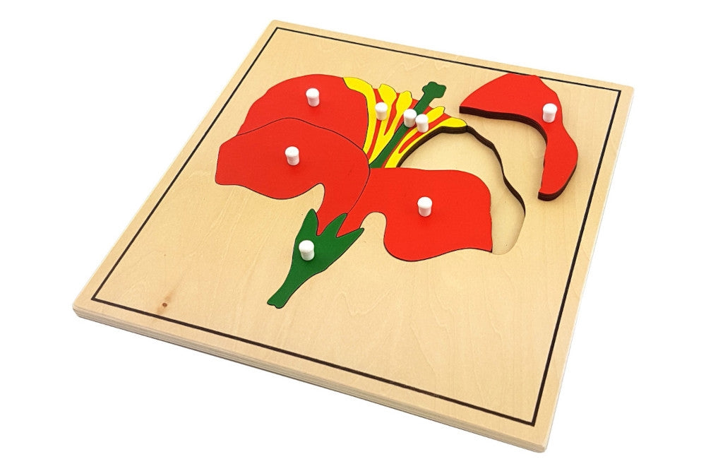 IFIT Montessori: 3 Botany Puzzles with Cabinet