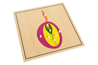 Seed Puzzle