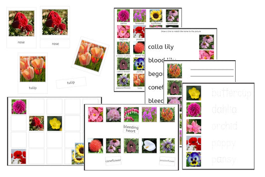 Flowers Exercise Set (PDF)