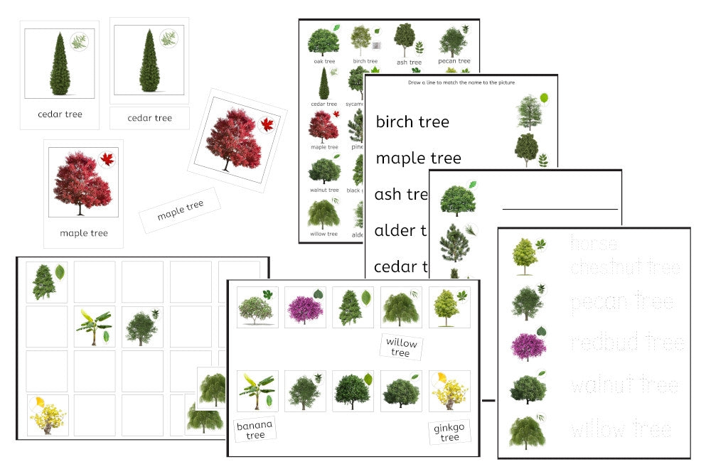 Trees Exercise Set (PDF)