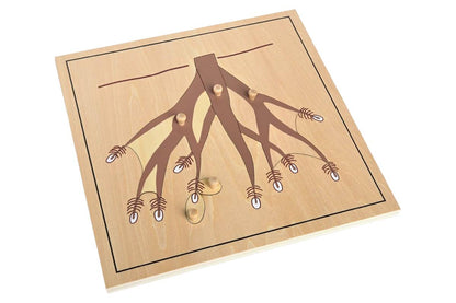 Root Puzzle