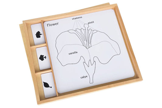 Botany Puzzle Activity Set