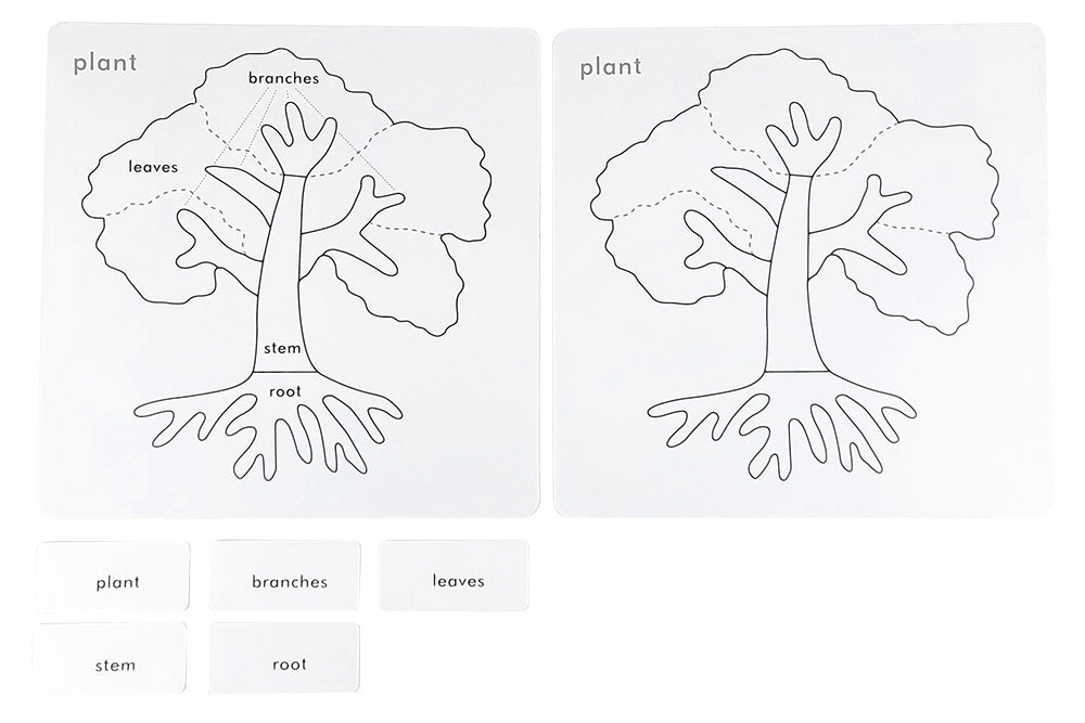 IFIT Montessori: Botany Puzzle Activity Set