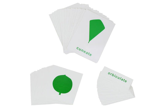 IFIT Montessori: Botany Cabinet Nomenclature Cards