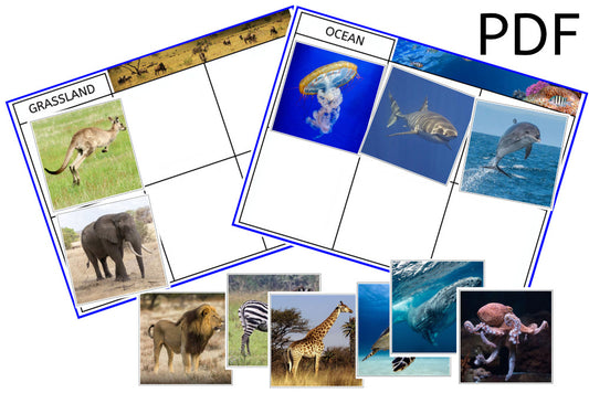 Animal Habitat Sorting Cards (PDF)