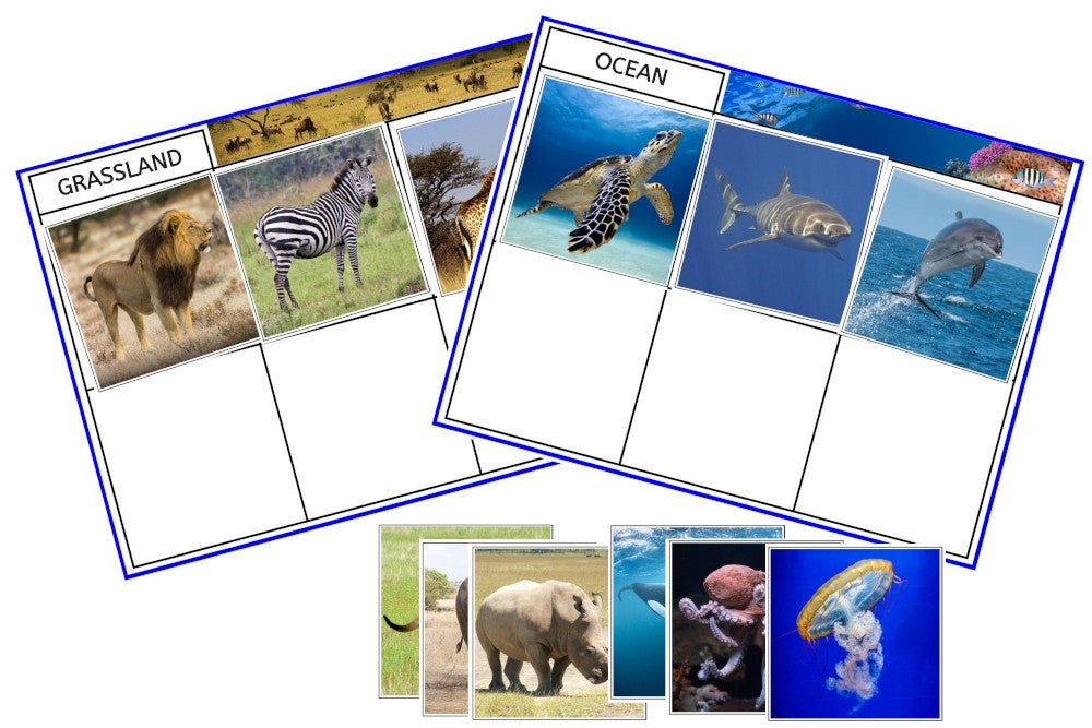 Animal Habitat Sorting Cards (PDF)