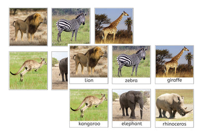 Animal Habitat Sorting Cards (PDF)