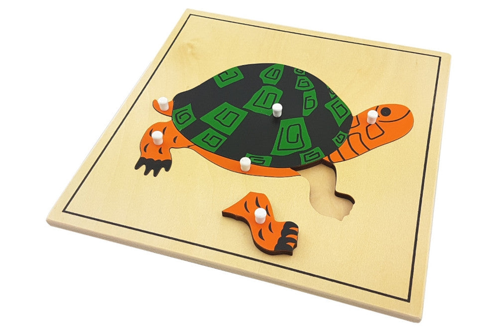 Turtle puzzle with pieces representing the carapace, plastron, head, tail, and legs. Puzzle has a thin black border.