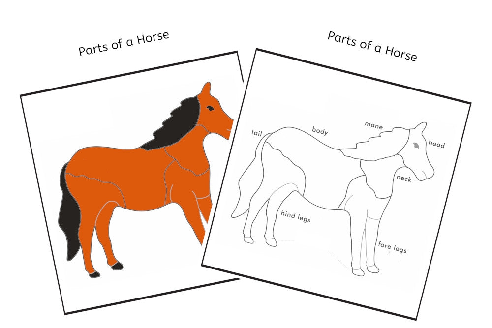 Parts of a Horse 3-Part Cards (PDF)