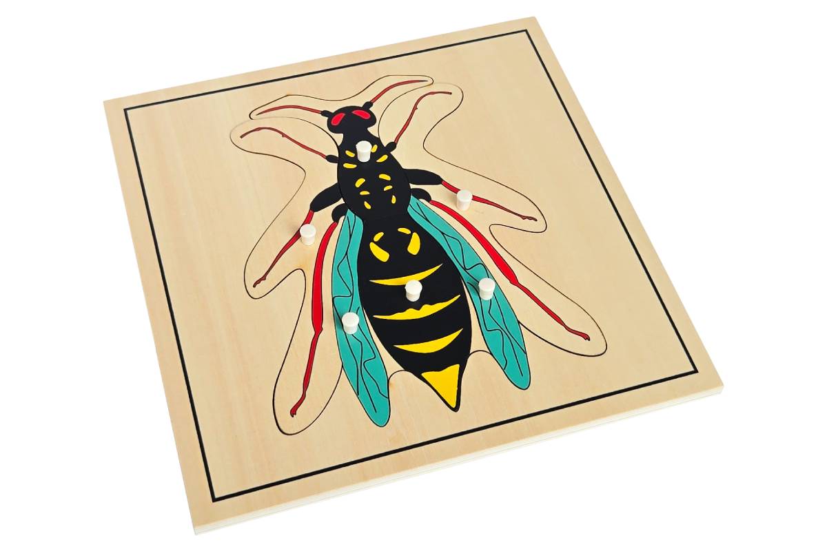 Wasp Puzzle