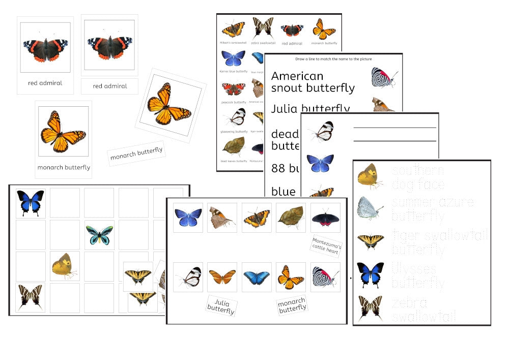 Butterflies Exercise Set (PDF)