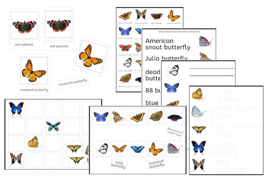 Butterflies Exercise Set (PDF)