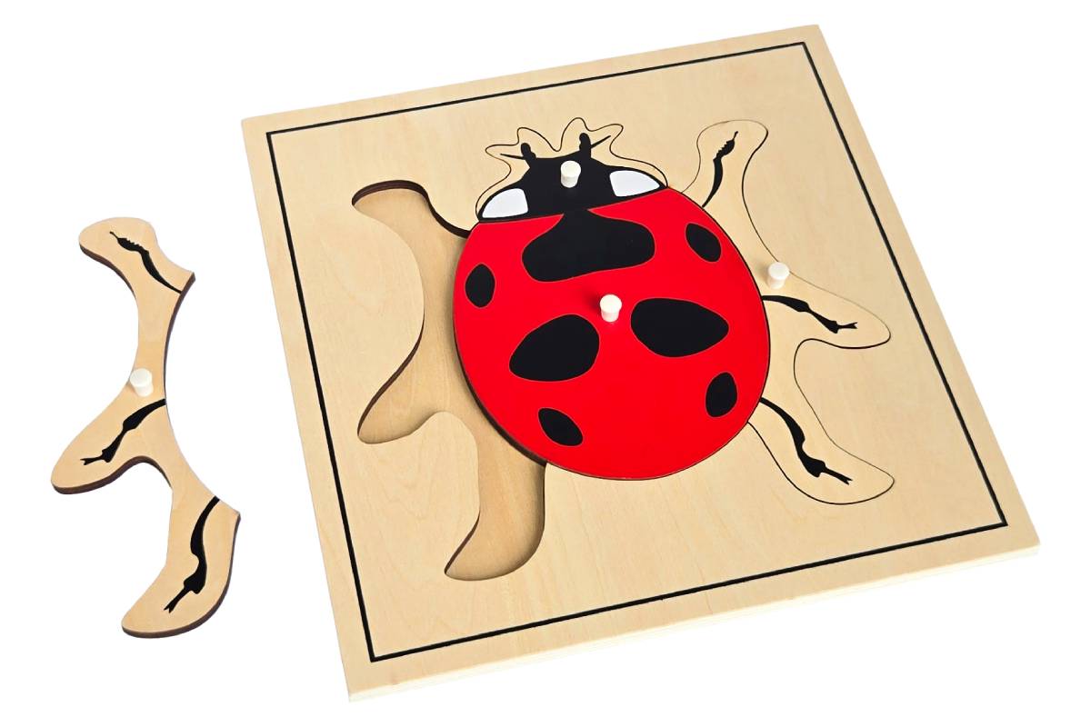 Ladybug Puzzle