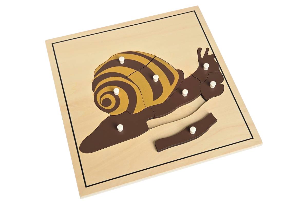 Snail Puzzle