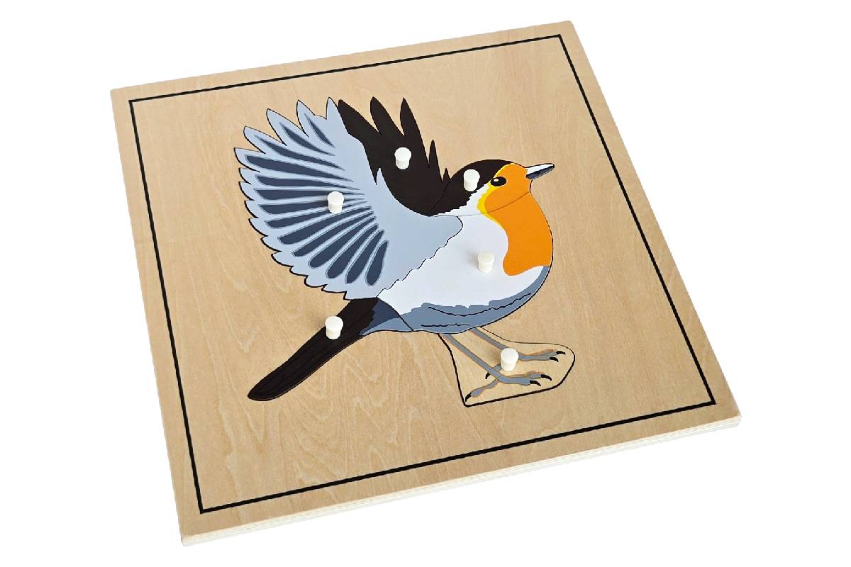 Bird Puzzle with Skeleton
