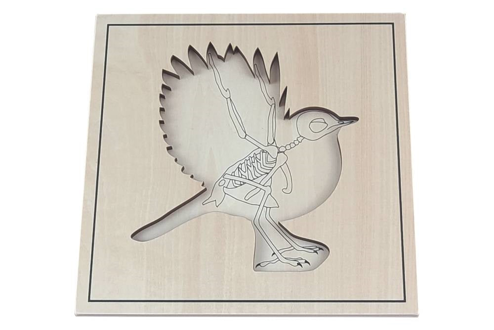 IFIT Montessori: Bird Puzzle with Skeleton