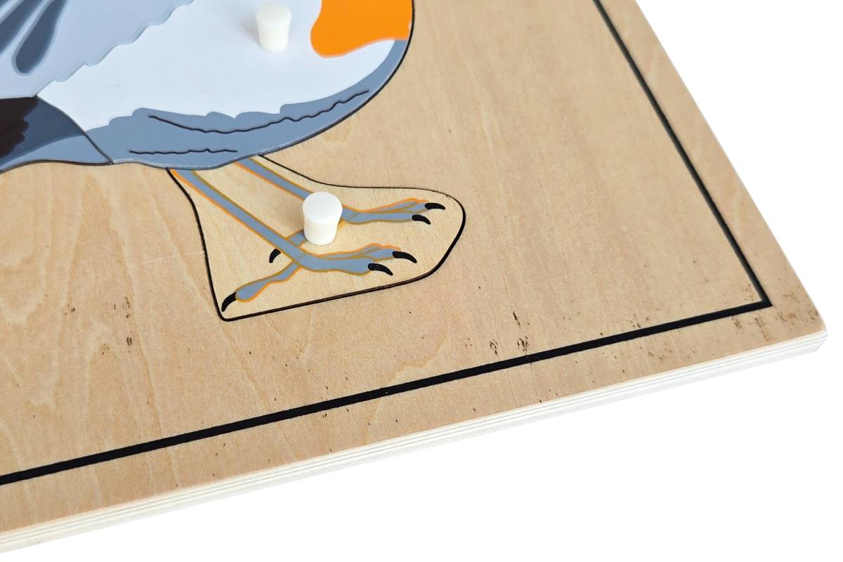 Bird Puzzle with Skeleton (Clearance)