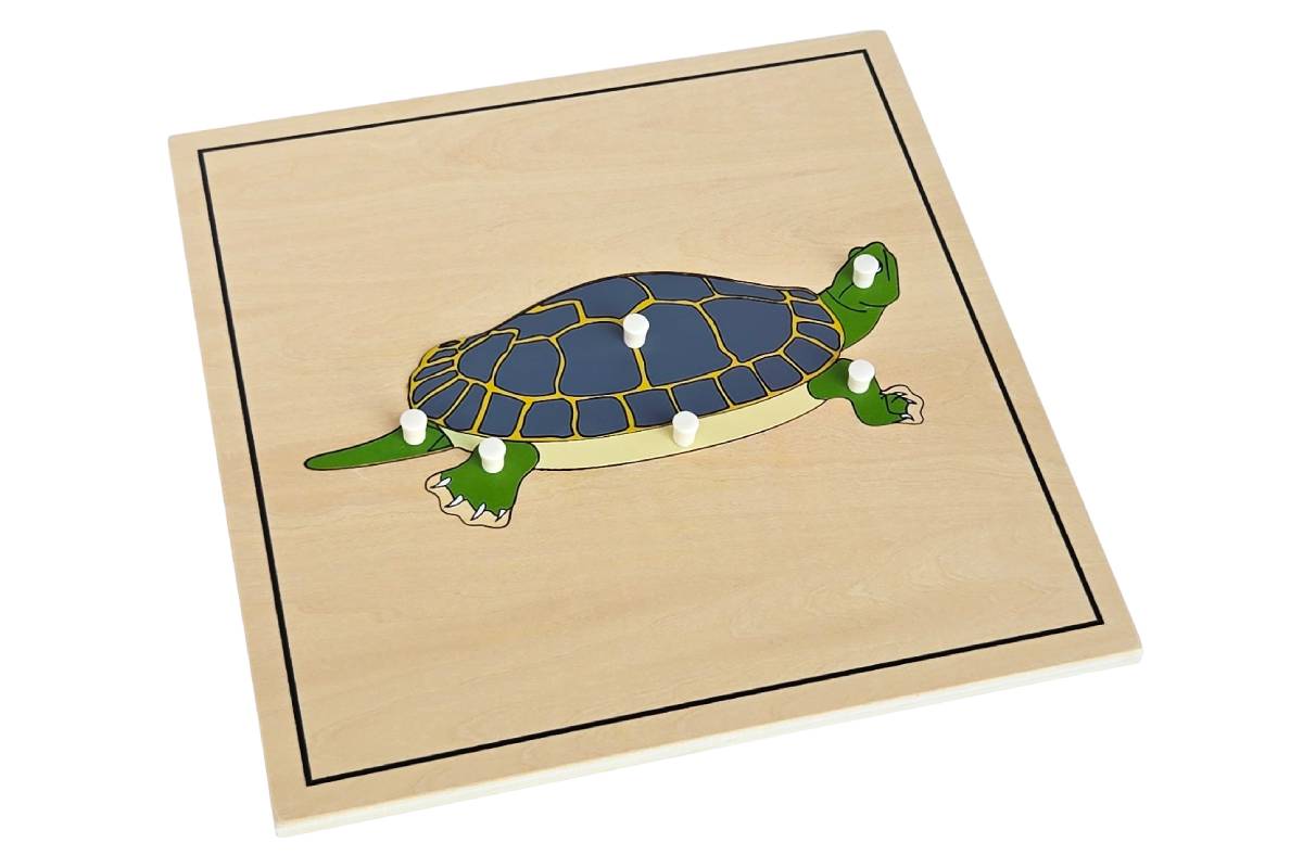 Turtle Puzzle with Skeleton