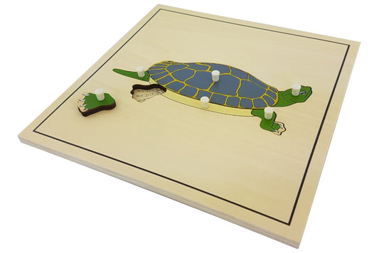 IFIT Montessori: Turtle Puzzle with Skeleton