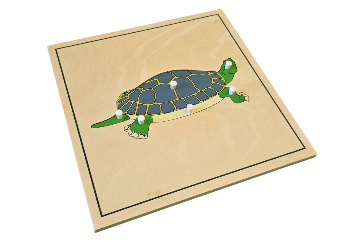 Turtle Puzzle with Skeleton (Clearance)