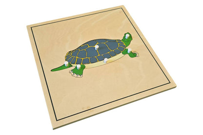 Turtle Puzzle with Skeleton (Clearance)